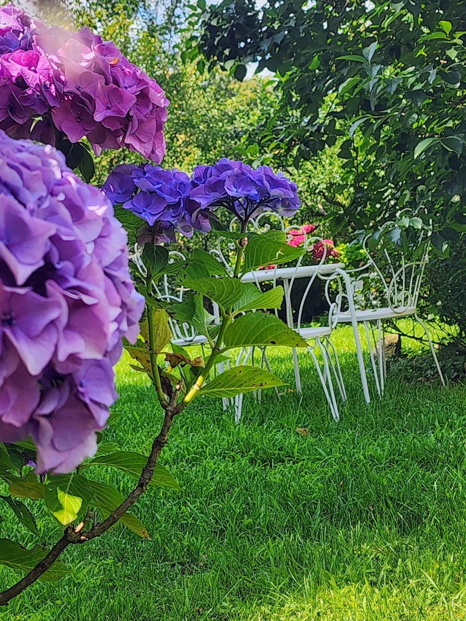 B&B Alle Ortensie Blu Sesta Godano Eksteriør billede